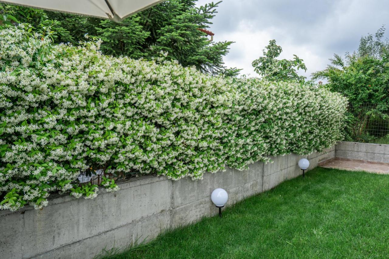 Veria Panorama Luxury Suite With Garden 2 Exteriér fotografie